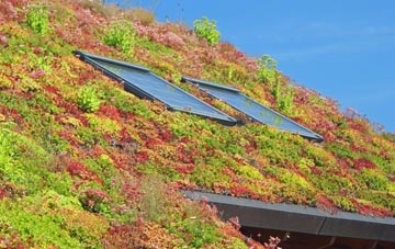 Upper Lye living roof systems