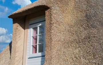 Upper Lye thatch roof disadvantages